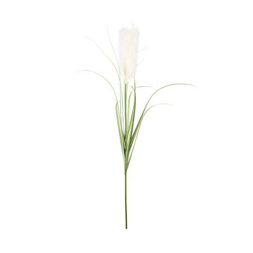 FLORISTA PAMPAFŰ, KRÉMSZÍN 115 CM