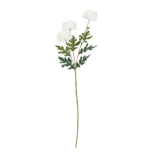 FLORISTA MINI KRIZANTÉM, FEHÉR