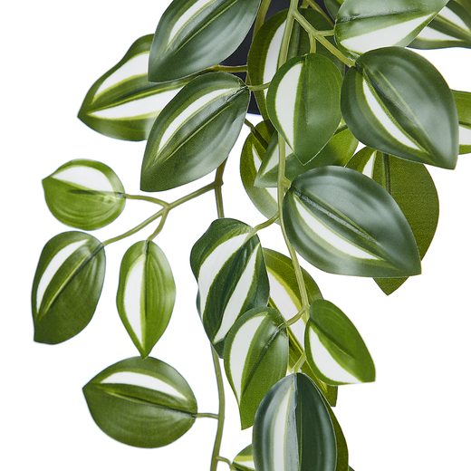 000000001000448079-1