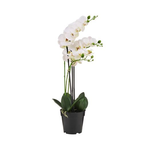 FLORISTA CSEREPES ORCHIDEA 60 CM