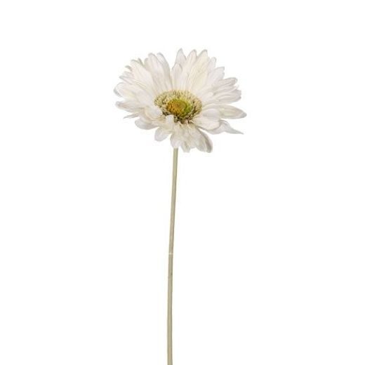 FLORISTA ÓRIÁS GERBERA FEHÉR