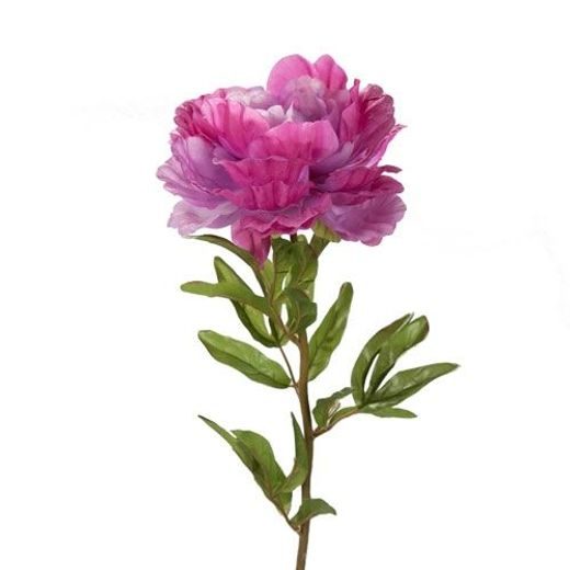 FLORISTA BAZSARÓZSA PINK 80CM