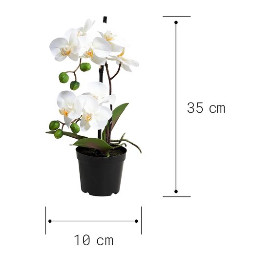 000000001000339831-2