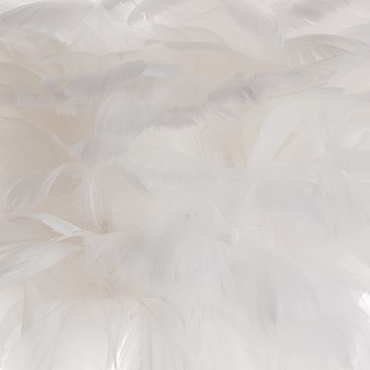 000000001000445089-15