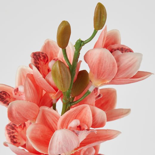 000000001000512739-1