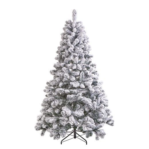 TREE OF THE MONTH FENYŐFA, HAVAS 210CM