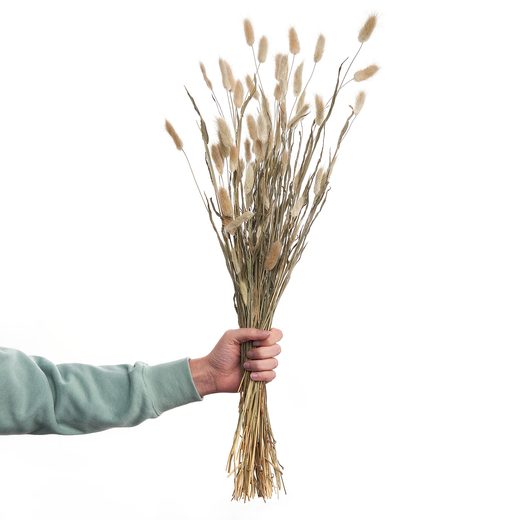 000000001000339876-2