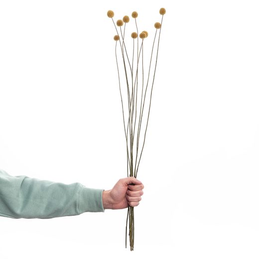 000000001000339872-3