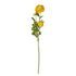FLORISTA boglárka 63 cm, citromsárga