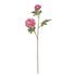 FLORISTA krizantém, pink