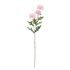 FLORISTA mini krizantém, rózaszín