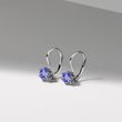 ROUND TANZANITE EARRINGS IN 14K WHITE GOLD - TANZANITE EARRINGS - EARRINGS