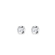 DIAMOND STUD EARRINGS IN 14K WHITE GOLD - DIAMOND STUD EARRINGS{% if category.pathNames[0] != product.category.name %} - {% endif %}