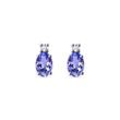 EARRINGS OF 14K WHITE GOLD WITH TANZANITES AND DIAMONDS - TANZANITE EARRINGS - EARRINGS