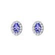 OVAL TANZANITE AND DIAMOND WHITE GOLD HALO STUD EARRINGS - TANZANITE EARRINGS - EARRINGS