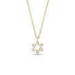 SNOWFLAKE DIAMOND NECKLACE IN 14K YELLOW GOLD - DIAMOND NECKLACES{% if category.pathNames[0] != product.category.name %} - {% endif %}