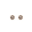 CHAMPAGNE DIAMOND STUD EARRINGS IN YELLOW GOLD - DIAMOND STUD EARRINGS{% if category.pathNames[0] != product.category.name %} - {% endif %}