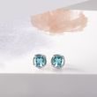 White Gold Earrings with Topaz