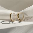 RUNDE OHRRINGE MIT DIAMANT AUS GELBGOLD - OHRRINGE DIAMANT - OHRRINGE