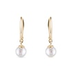 FRESHWATER PEARL EARRINGS IN YELLOW GOLD - PEARL EARRINGS - PEARL JEWELLERY