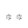 DIAMANT-OHRSTECKER AUS 14KT ROSÉGOLD - OHRSTECKER DIAMANT - OHRRINGE