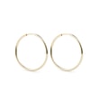 25-MM-OHRRINGE AUS GOLD - OHRRINGE GELBGOLD{% if category.pathNames[0] != product.category.name %} - {% endif %}