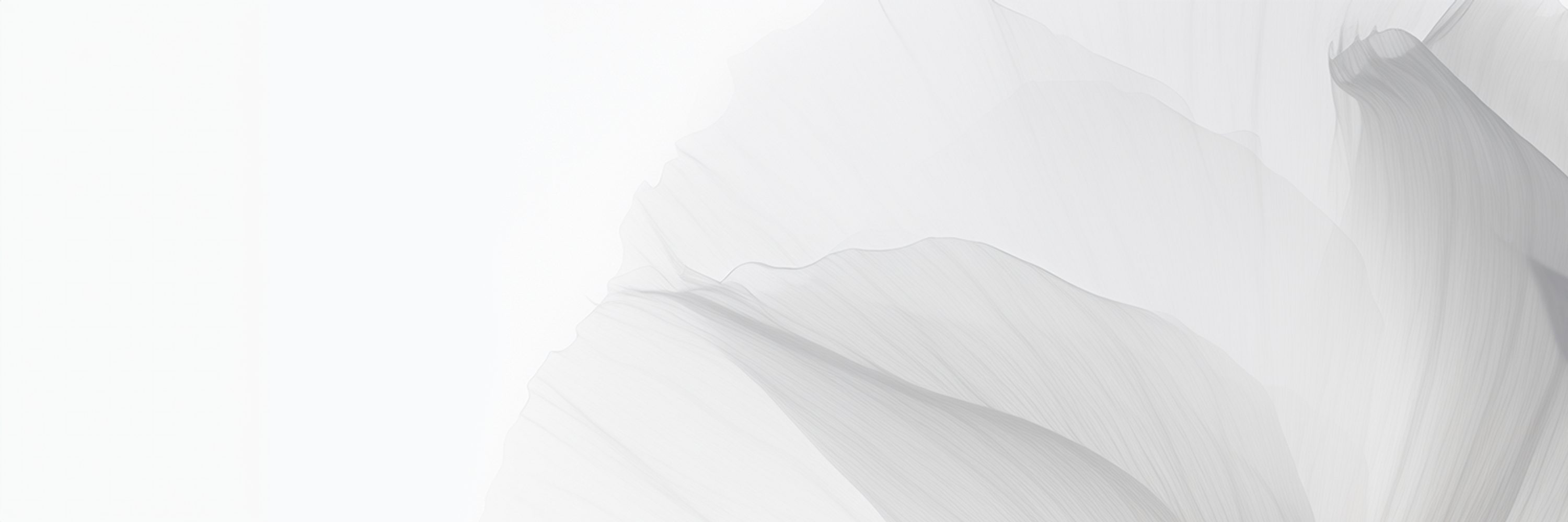 Meistverkaufte Ringe