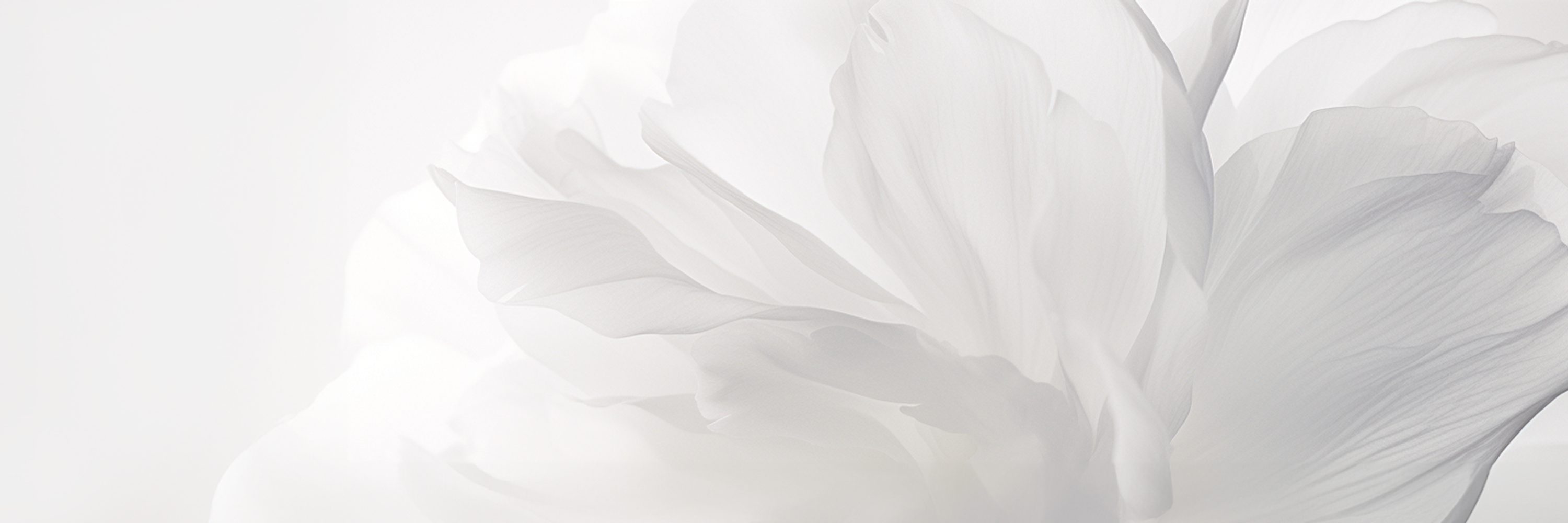 Meistverkaufter Perlenschmuck