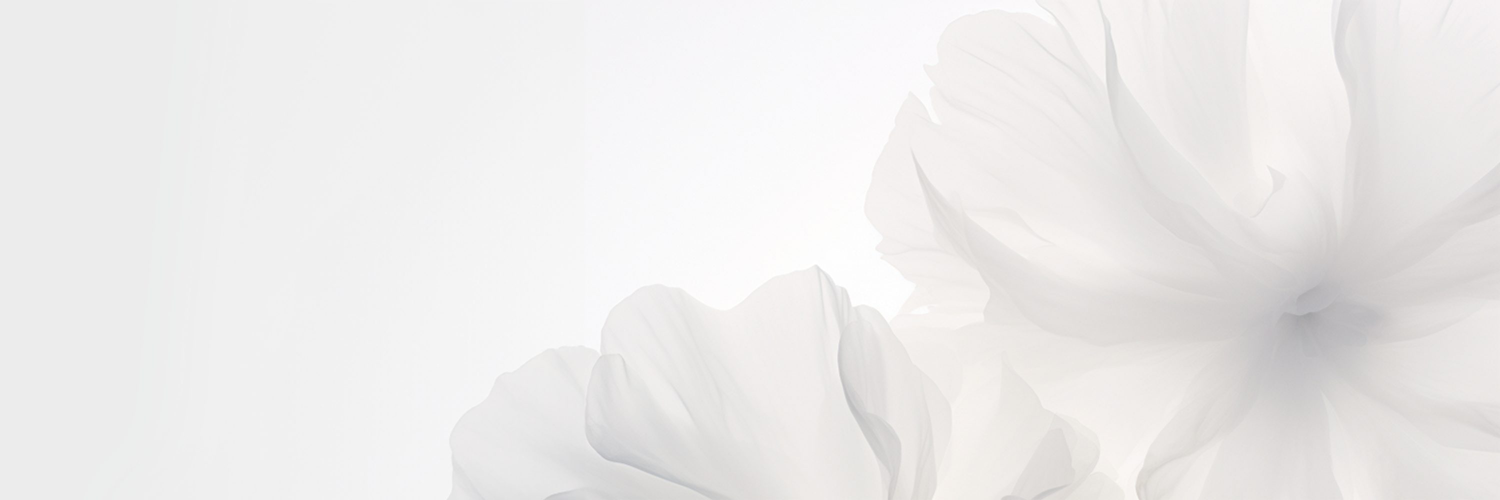 Obrączki ślubne Side eternity