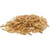 MEALWORMS, mouční červi sušení, 70g