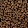 Tropical Sterlet Basic L 3l /1,5kg vědro