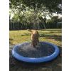 Nobby stříkací bazének Splash Pool 150 cm