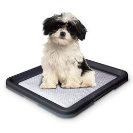 Nobby Doggy Trainer S plastové WC na podložky pro štěňata 48 x 41 x 3,5 cm