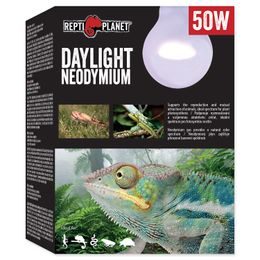 Žárovka REPTI PLANET Daylight Neodymium