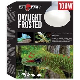 Žárovka REPTI PLANET Daylight Frosted