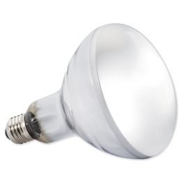 Žárovka EXO TERRA Solar Glo / Sun Simulating Bulb 160W
