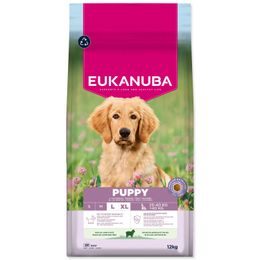 Krmivo EUKANUBA Puppy Large rich in lamb 12 kg