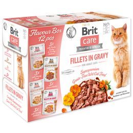 BRIT Care Cat Flavour box Fillet in Gravy 4 x 3 ks