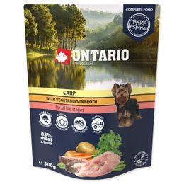 Kapsička ONTARIO Dog Carp with Vegetable in Broth