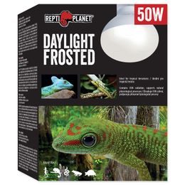 Žárovka REPTI PLANET Daylight Frosted