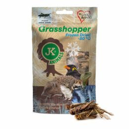 Mrazem sušené saranče, Grasshopper Frozen Dried, 80 g