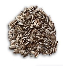 Slunečnice žíhaná velkozrná 1000g