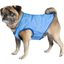 Nobby chladící vesta M pro psa