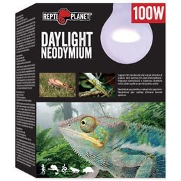 Žárovka REPTI PLANET Daylight Neodymium