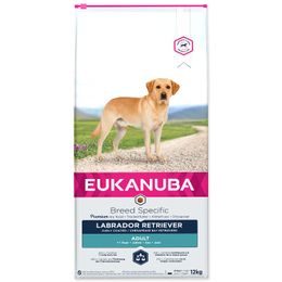 EUKANUBA Labrador Retriever