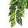 Rostlina EXO TERRA Ficus malá 45 cm