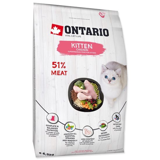 ONTARIO Kitten Chicken