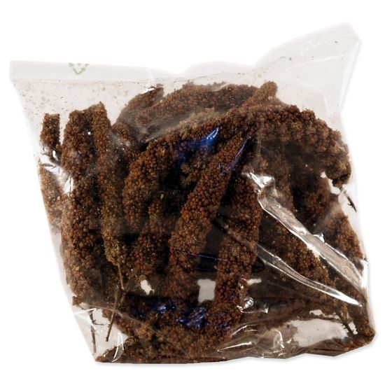 Proso AVICENTRA senegalské klasy