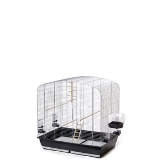 Sara pozink, klec pro ptáky