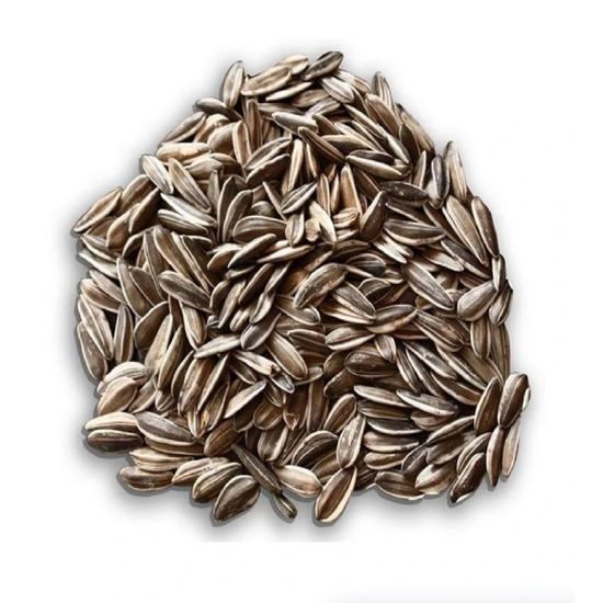 Slunečnice žíhaná velkozrná 1000g